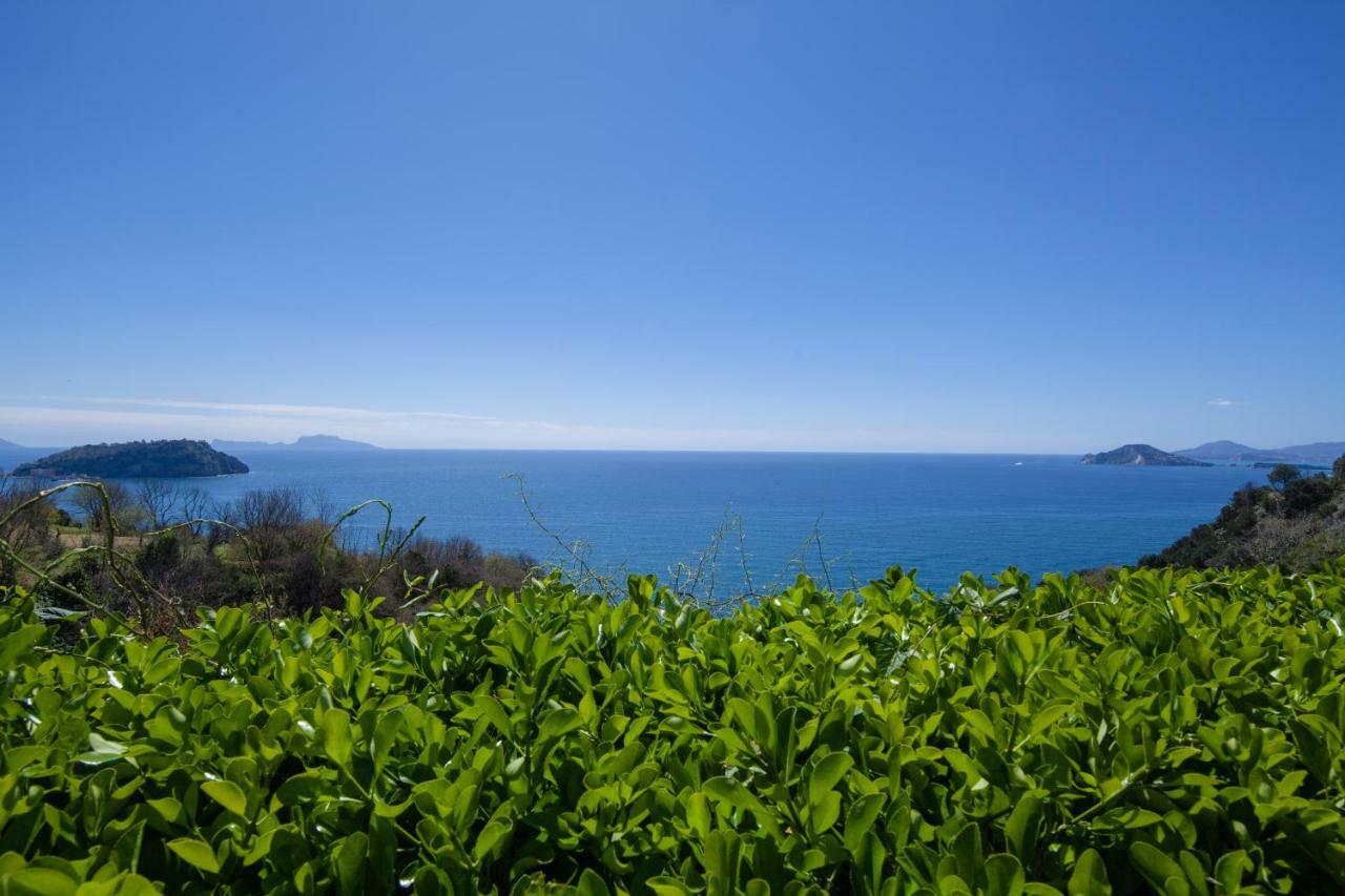 Mini Hotel - Angolo Di Paradiso - Pozzuoli Ngoại thất bức ảnh