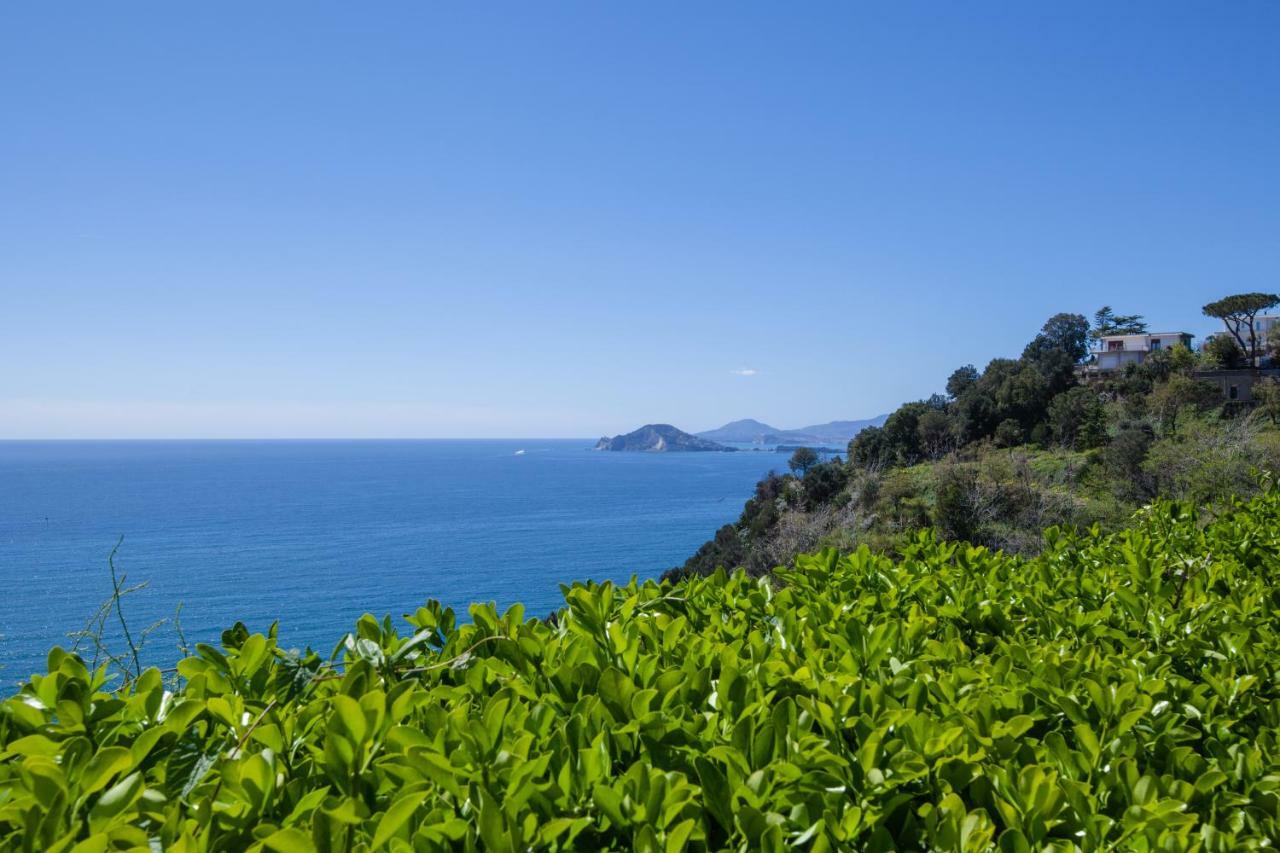 Mini Hotel - Angolo Di Paradiso - Pozzuoli Ngoại thất bức ảnh